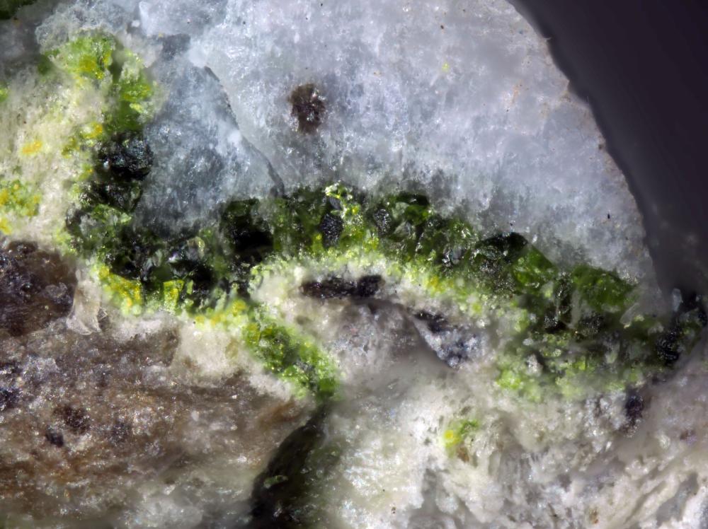 Goldmanite